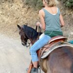 Jennifer Landon Instagram – I recently took a road trip to Valle de Guadalupe and I can’t recommend it enough.  I went for the food and wine, but while I was there I was lucky enough to go riding with @bajabyhorse and had one of the most exciting and memorable rides of my life.  Her horses are phenomenal! 

Sometimes friendships are forged in minutes and such is the case with @martyharriman. 🐎💛🤠

P.S. check out her cap. Turns out she’s the biggest #yellowstone #yellowstonetv  fan south of the border.