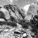 Jennifer Landon Instagram - You guys, Joshua Tree is really really somethin’.