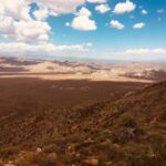 Jennifer Landon Instagram - You guys, Joshua Tree is really really somethin’.