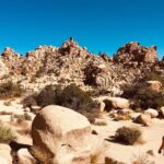 Jennifer Landon Instagram - You guys, Joshua Tree is really really somethin’.