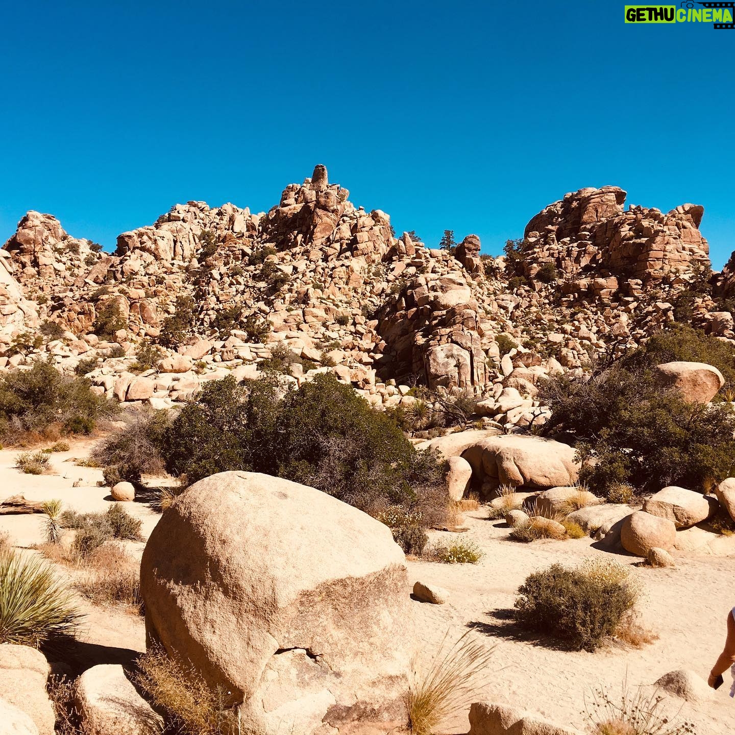 Jennifer Landon Instagram - You guys, Joshua Tree is really really somethin’.