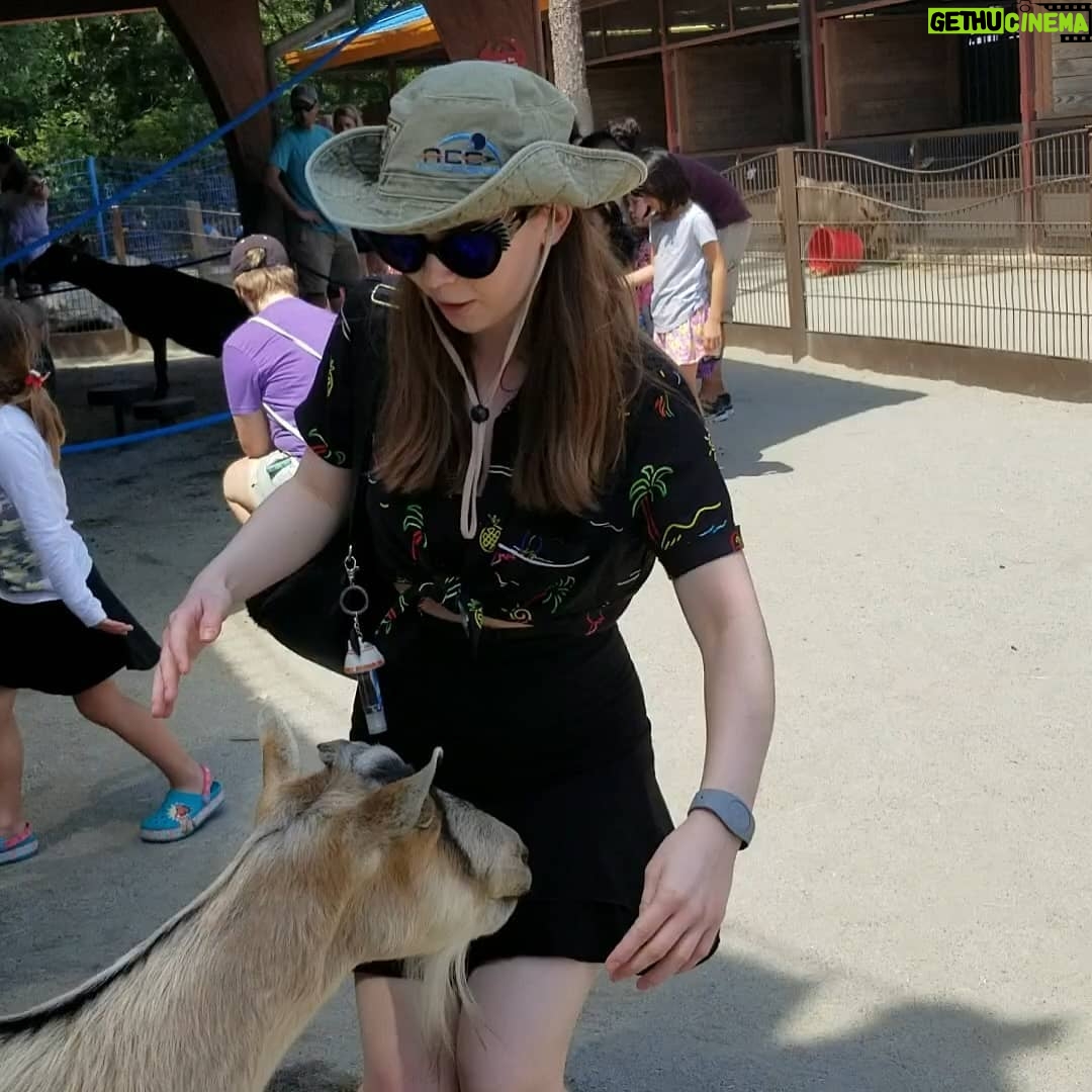 Jenny Nicholson - 2.1K Likes - Jenny love goat