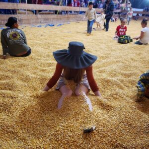 Jenny Nicholson Instagram - Corn