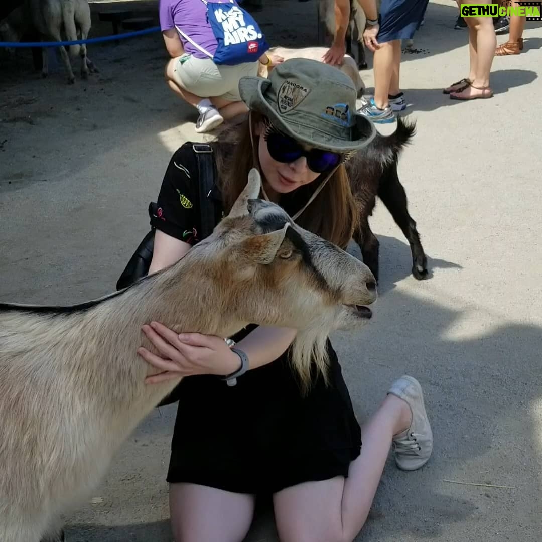 Jenny Nicholson - 2.1K Likes - Jenny love goat