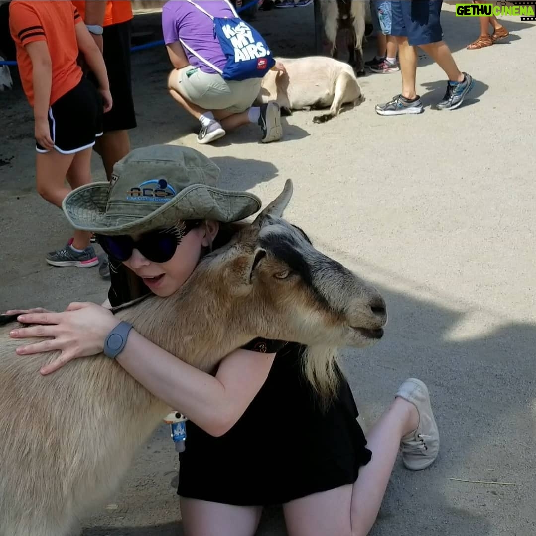 Jenny Nicholson - 2.1K Likes - Jenny love goat