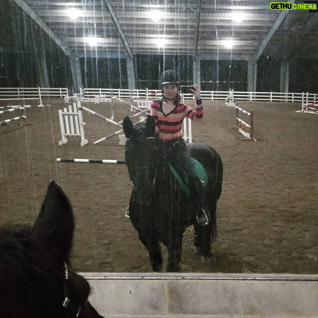 Jenny Nicholson - 0.9K Likes - Obligatory streaky horse mirror selfie, and shockingly Jorn is both holding still and looking at the camera