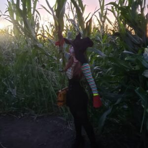 Jenny Nicholson Instagram - Corn