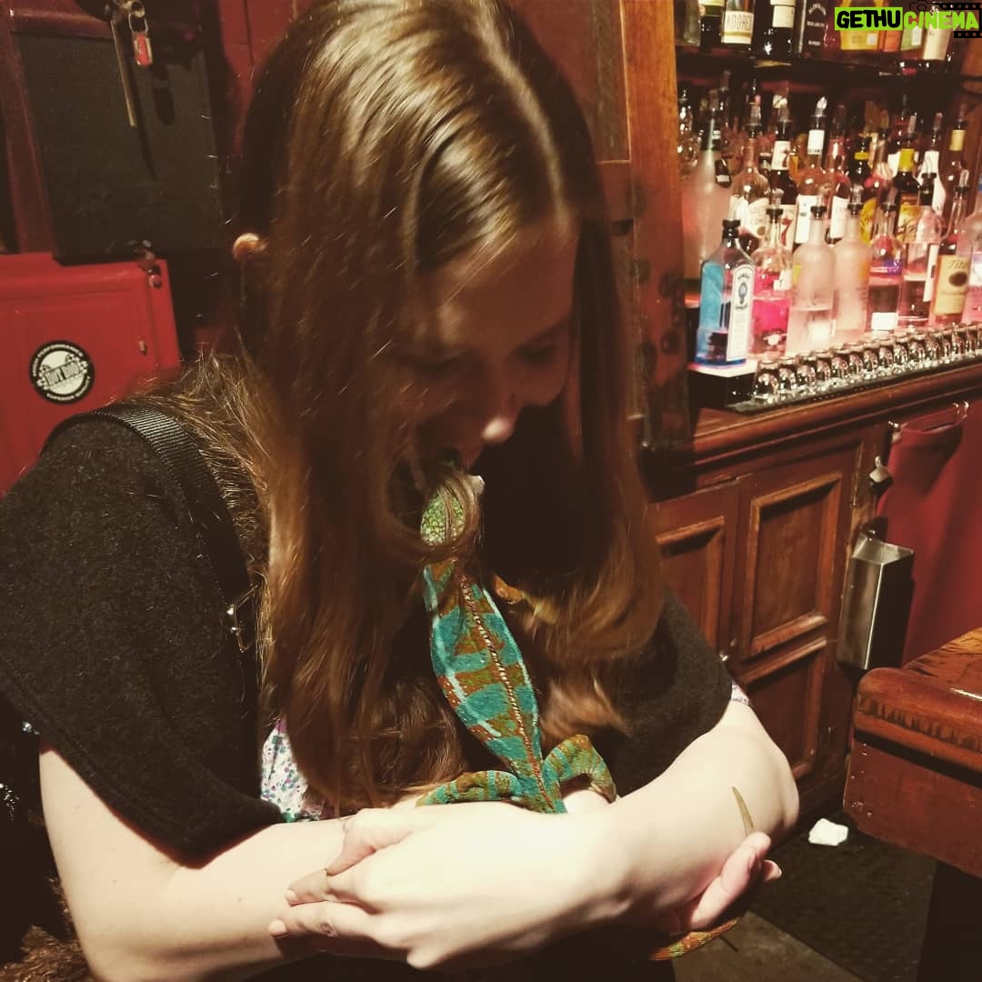Jenny Nicholson - 1.4K Likes - I met this chameleon in a bar and I love him