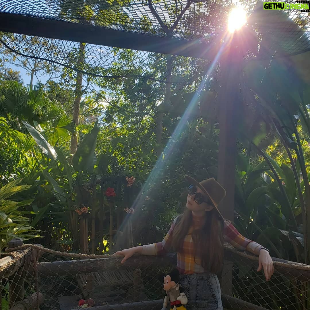 Jenny Nicholson - 6.5K Likes - I'm trying to make the Swiss Family Treehouse the next insta spot