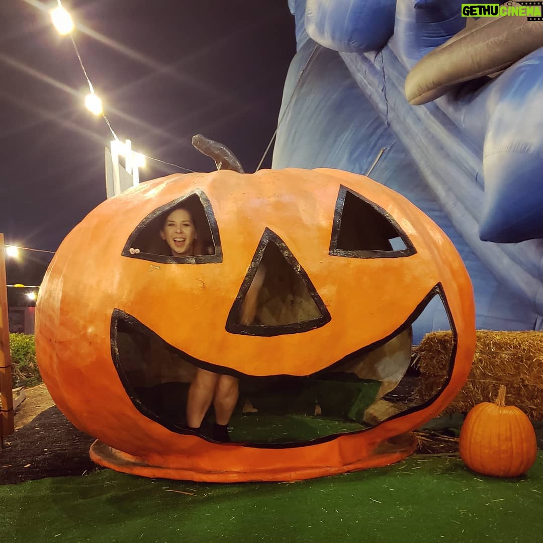 Jenny Nicholson - 3K Likes - 2019 will be the year of the pumpkin
