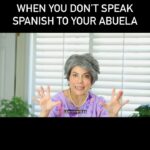 Jenny Lorenzo Instagram - Ah yes, the age old argument between a Latina grandma and her first gen nietos. #abuela #latinosbelike #spanglish #spanish #growinguphispanic #latinocomedy #latinomemes