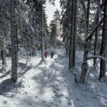 Jenny Skavlan Instagram - @rebmoe har sluppet låt om soverommet sitt på soverommet sitt og skogen var fin i helgen.