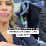 Jenny Taft Instagram - Still not over the dogs!! 🐩🐕 What dog breed is your favorite?!