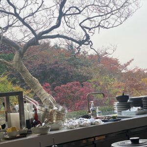 Jeon In-hwa Instagram - 오늘도 감사한 하루~🙏🏻