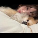 Jeon Hee-jin Instagram - 10장 꽉꽉 안경니진👓