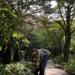 Jeon Hye-bin Instagram - 초록초록한 나날들🌿