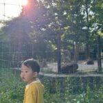 Jeon Hye-bin Instagram - 초록초록한 나날들🌿