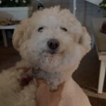 Jeon Hye-bin Instagram - 아름다운 밤✨✨✨