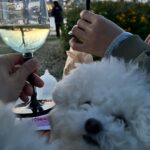 Jeon Hye-bin Instagram - 아침 점심 저녁 바쁜 토요일은 원래 내스타일 아니긴 한데 이런 토욜은 참 좋다🎈