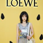 Jeon So-nee Instagram - 🍍🥝🍒로에베 2024 파울라이비자 컬렉션 신세계강남점 4월28일까지 팝업! @loewe #LOEWE #LOEWEPaulas