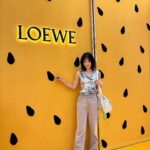 Jeon So-nee Instagram – 🍍🥝🍒로에베 2024 파울라이비자 컬렉션 
신세계강남점 4월28일까지 팝업! 
@loewe #LOEWE #LOEWEPaulas