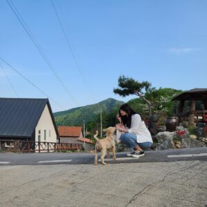 Jeong Da-eun Instagram - 여행중만난🐕 안녕👋🏻