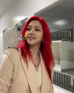 Jeong Da-eun Instagram - 너도 과자를 좋아하는구나 🙊