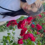 Jeong Da-eun Instagram - 오월을 보내는 법💥🫧💭🥀
