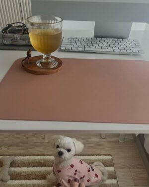 Jeong Da-eun Instagram - 요즘 다은