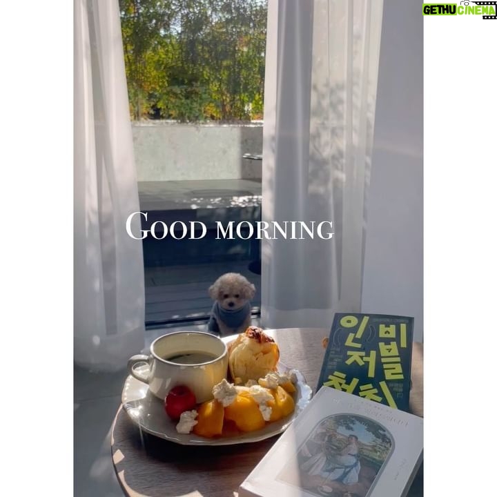 Jeong Hye-young Instagram - Good morning 창문 활짝 열고 모닝커피와 함께 요즘 읽고 있는 책 미술관을 빌려 드립니다-이창용 지음 인비저블 처치-김성규 지음
