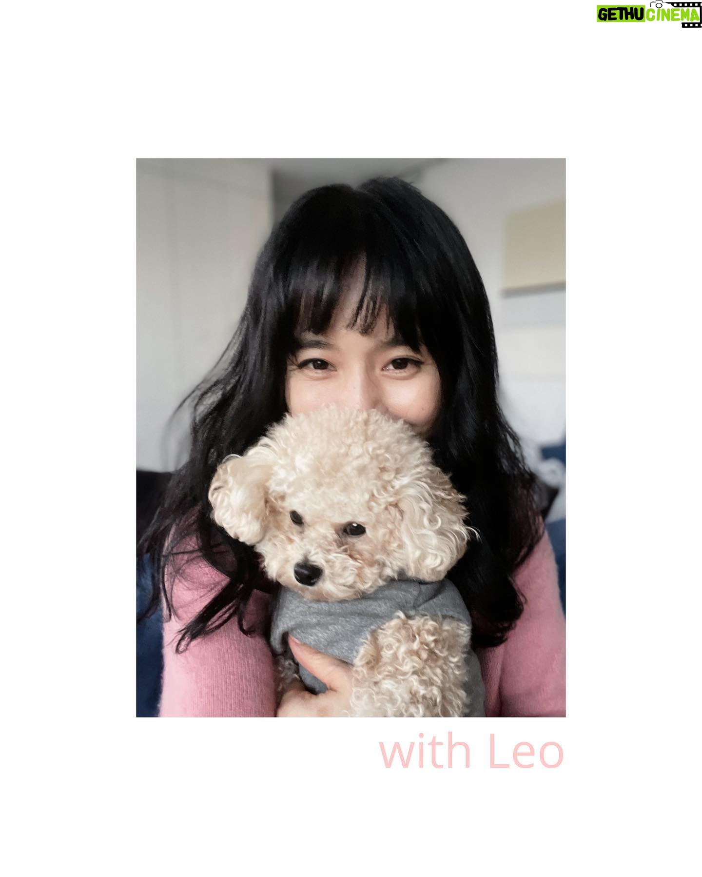 Jeong Hye-young - 3.5K Likes - π