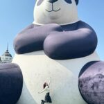 Jeong Jin-sol Instagram - 🤍🐼🤍