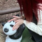 Jeong Jin-sol Instagram - 🤍🐼🤍