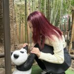 Jeong Jin-sol Instagram - 🤍🐼🤍