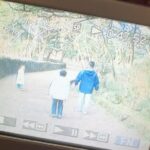 Jeong Jin-sol Instagram - 어린이시절 👶🏻🫧🤍🐾🧑‍🧑‍🧒‍🧒