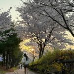 Jeong Yu-mi Instagram - 너는 영원한 나의 봄이다.🌸