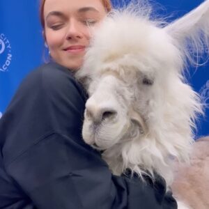 Jess Bush Instagram - Sorry I can’t come to the phone right now I am lost in this llama embrace