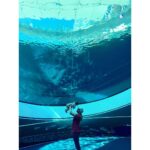 Jessi Smiles Instagram – Exploring with my loves 💙 (Noah hates the sun I think I gave birth to a vampire)