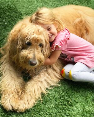 Jessica Collins Instagram - Today is one year since you went over the Rainbow Bridge. We miss you everyday my little one. ❤️🐾 #ILoveLucy 
And for all of you beautiful people who have sent me prayers and love over the past year about my Lucy- I’ve read every single one of your comments. And it has helped me enormously through this most difficult loss. I think whenever we use this platform in this way- to help each other- we use it at its best. Thank you for all your kindness. ❤️