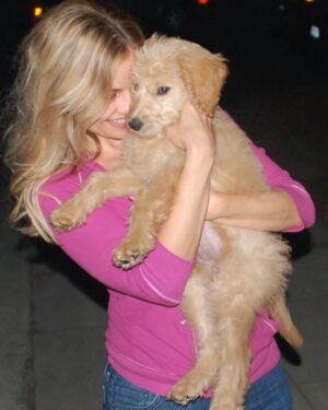 Jessica Collins Instagram - Today is one year since you went over the Rainbow Bridge. We miss you everyday my little one. ❤️🐾 #ILoveLucy 
And for all of you beautiful people who have sent me prayers and love over the past year about my Lucy- I’ve read every single one of your comments. And it has helped me enormously through this most difficult loss. I think whenever we use this platform in this way- to help each other- we use it at its best. Thank you for all your kindness. ❤️