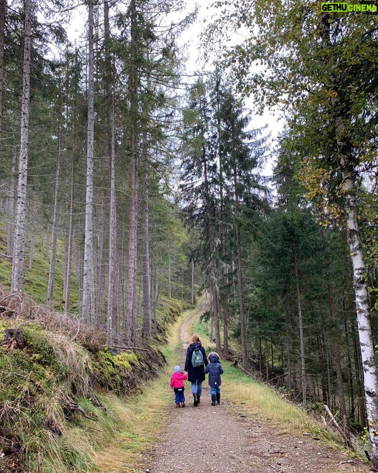 Jessica Ginkel - 6.2K Likes - Wandertag mit meinen Liebsten und schaut was wir gefunden haben... ⠀
⠀
... unseren ersten Fliegenpilz - nur gucken!!! ⠀
... Miguel - big Love💚, nein, er kann nicht mit nach Hause kommen!!! ⠀
⠀
#wandertag #dieseelebaumelnlassen #familie #liebe