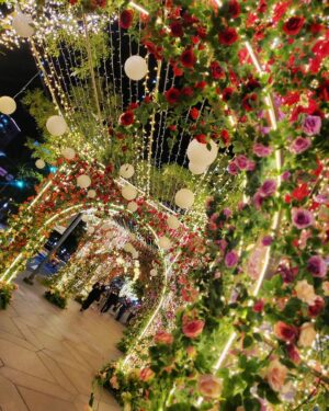 Jessica Lin Instagram - 聖誕節快樂🎄

連六最後一天
接著就要去台中南投小旅行😆
下周播報改四五六喔

東森財經57台：
12/24 (六) 2000晚報、2030台彩
12/29 (四) 1730晚報
12/30 (五) 1730晚報、2030台彩
12/31 (六) 1800晚報、2000晚報、2030台彩

#xmas #christmas #xmastree #winter #merrychristmas #love #holidays #lights #photography #christmasdecor #instagood #photooftheday #christmasdecorations #family #picoftheday #happy #santaclaus #december #christmastime #weekend #聖誕快樂 #聖誕節 #聖誕樹 #信義區 #耶誕 #台北101 #101