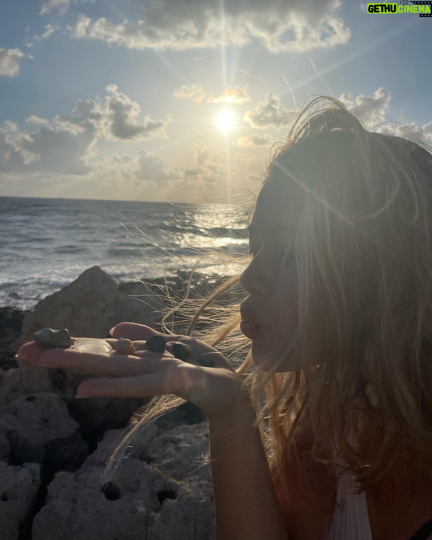 Jessica Alexander Instagram - cats run cyprus