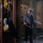 Jessica Amlee Instagram – Try to deal with 2020 like Gene Kelly deals with the rain 
☔️🤷🏼‍♀️

#singinintherain #perspective #2020 #mgm #genekelly #brightsideoflife☀️