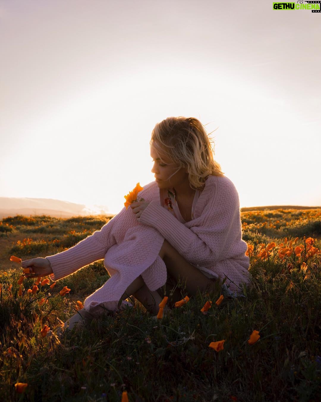 Jessica Amlee Instagram - S/O to @samvelasquez for capturing me in a time of my life, when it's far easier to be a wall flower 💛