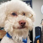 Jessica Betts Instagram – PROFESSOR BETTS @michaeljaebetts #MJ 
He really grew a beard 🐩🐾🤣👽❤️