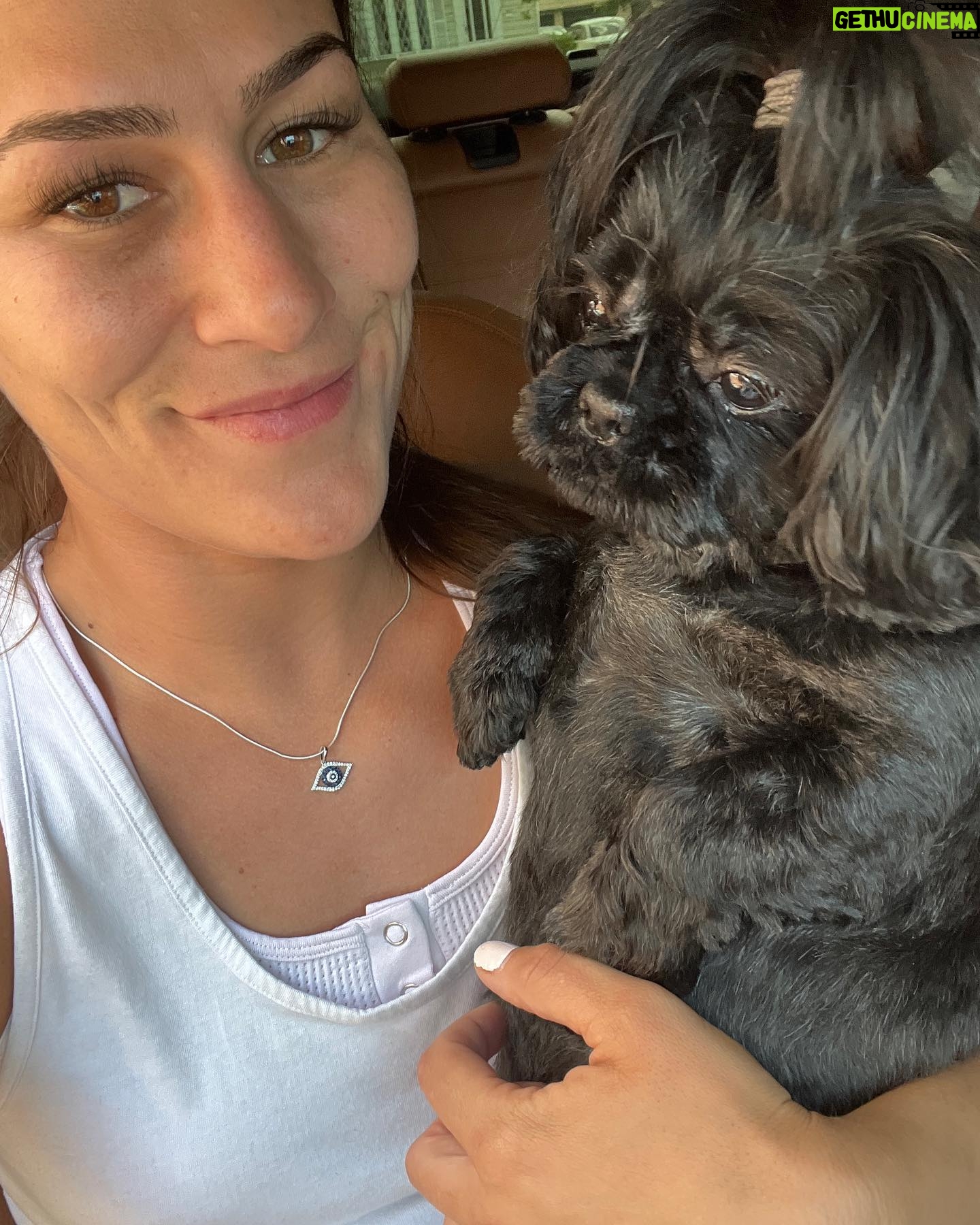 Jessica Eye Instagram - Super excited about my Birthday/ Retirement vacation tomorrow but I’m not excited about leaving this one again @thazmyshih . Athena and Diego dont worry mommas coming back after Mexico to spend all the time with you 🧡🖤 . . #athena #myshihtzu #jessicaevileye #ilovemydog #cabo #mexico #blackdogsofinstagram #lovemydogs