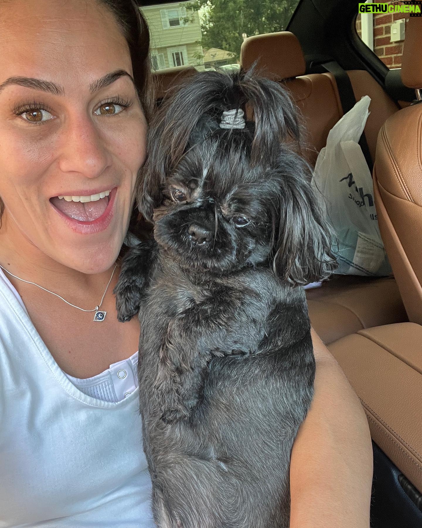 Jessica Eye Instagram - Super excited about my Birthday/ Retirement vacation tomorrow but I’m not excited about leaving this one again @thazmyshih . Athena and Diego dont worry mommas coming back after Mexico to spend all the time with you 🧡🖤 . . #athena #myshihtzu #jessicaevileye #ilovemydog #cabo #mexico #blackdogsofinstagram #lovemydogs