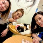 Jessica Hester Hsuan Instagram - Just when we all started missing our cats and dogs, we managed to find this cat cafe. This is one chill 🐱! And back to school - Yan Che the principle plus two of us being out of control. 🤪