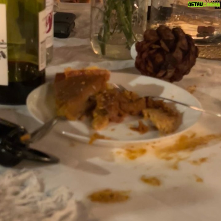 Jessica McNamee - 10.8K Likes - Happy Thanksgiving weekend everyone. The pie was not a hit. Cheers!